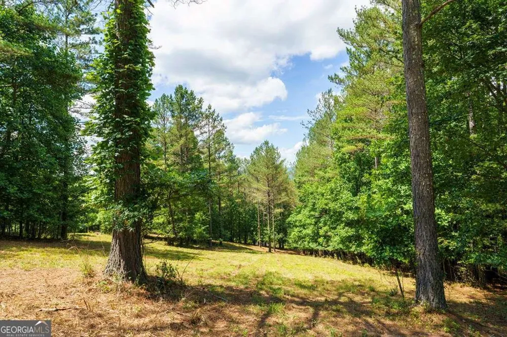 LOT 21 Loftis MTN Blairsville, GA 30512