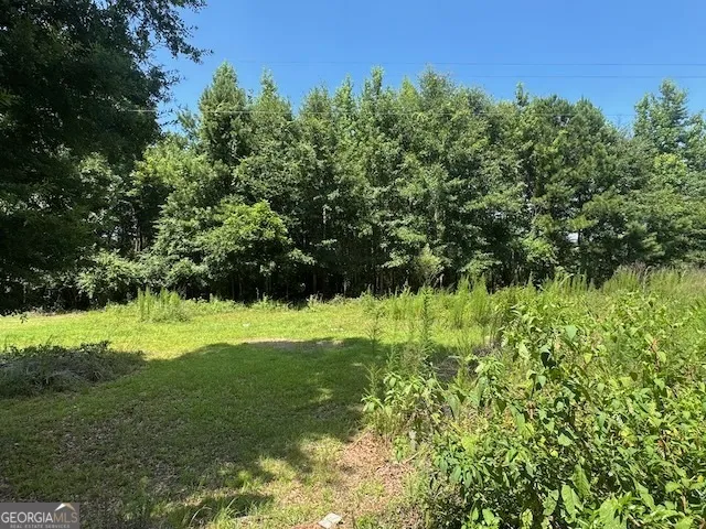 128 Jacqueline DR Georgetown, GA 39854