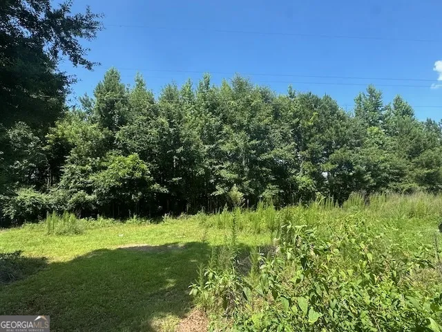 128 Jacqueline DR Georgetown, GA 39854