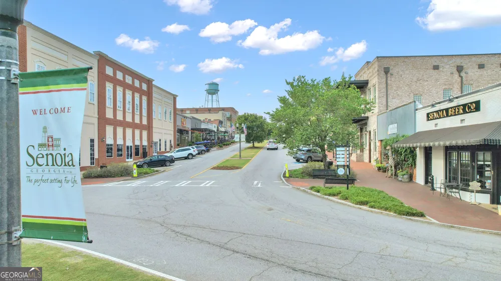 282 Township DR Senoia, GA 30276