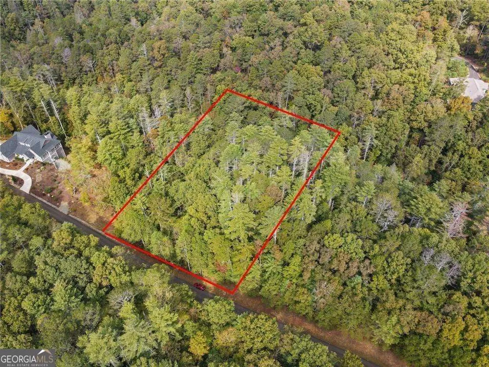 0 Trout Line CT Talking Rock, GA 30175