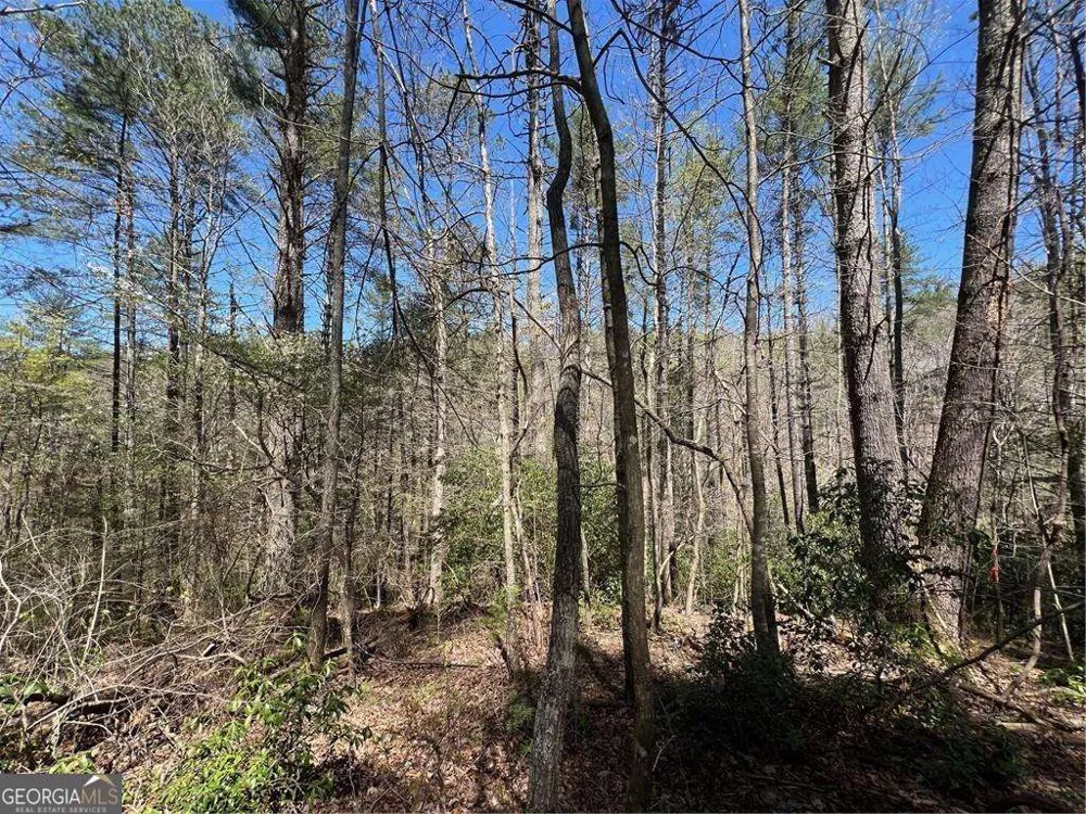 0 Trout Line CT Talking Rock, GA 30175