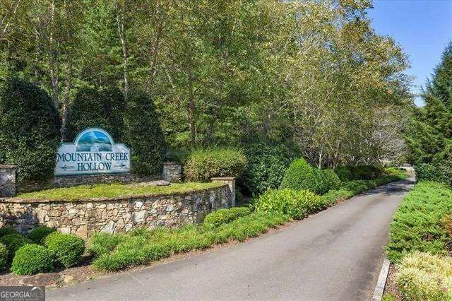 0 Trout Line CT Talking Rock, GA 30175