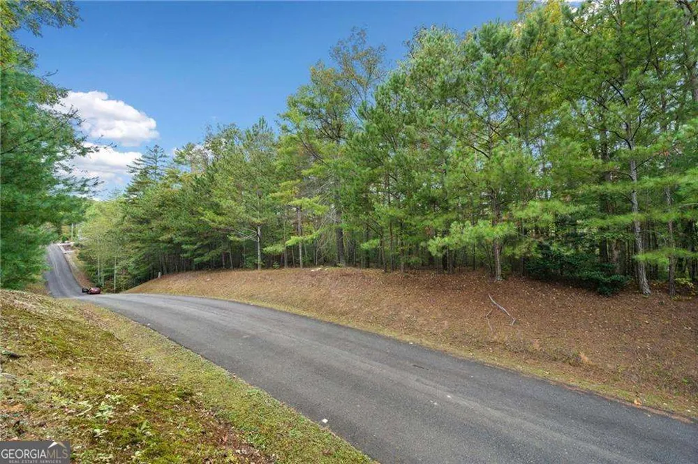 0 Trout Line CT Talking Rock, GA 30175