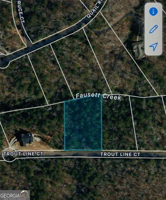 0 Trout Line CT Talking Rock, GA 30175