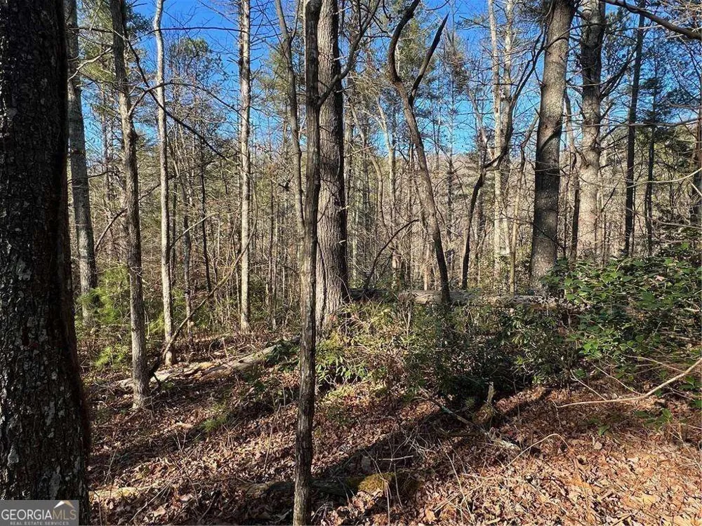0 Trout Line CT Talking Rock, GA 30175