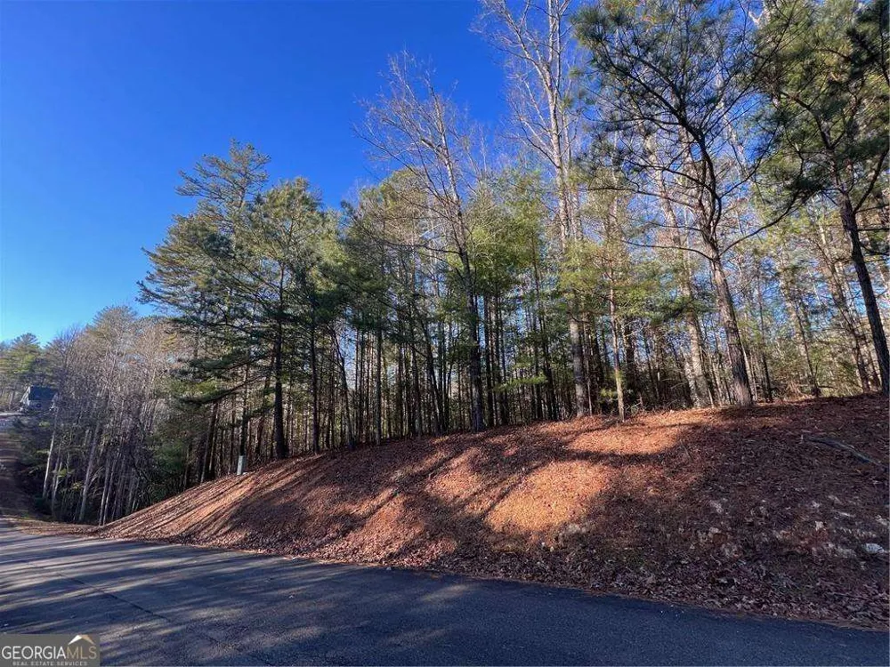 0 Trout Line CT Talking Rock, GA 30175