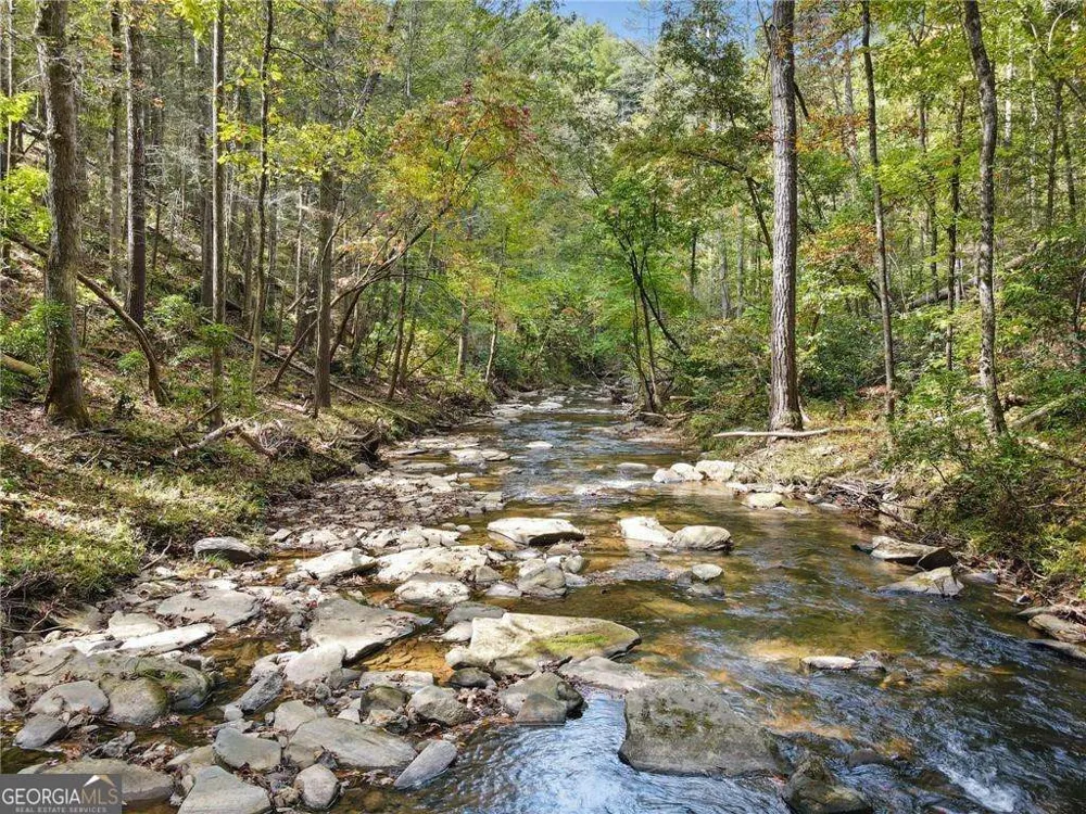 0 Trout Line CT Talking Rock, GA 30175