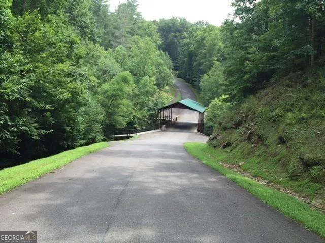 0 Trout Line CT Talking Rock, GA 30175