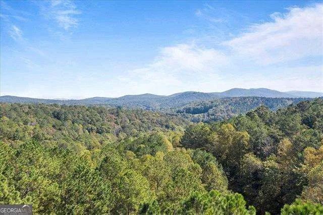 0 Trout Line CT Talking Rock, GA 30175