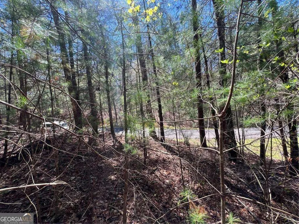0 Trout Line CT Talking Rock, GA 30175