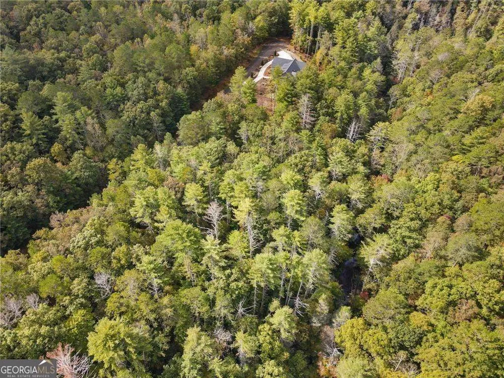 0 Trout Line CT Talking Rock, GA 30175
