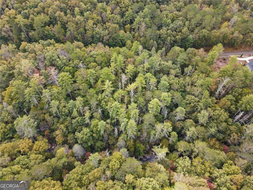 0 Trout Line CT Talking Rock, GA 30175