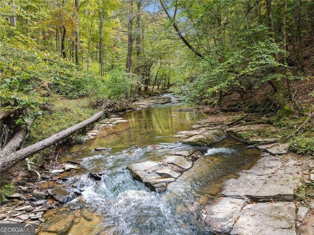 0 Trout Line CT Talking Rock, GA 30175