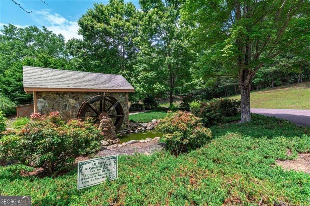 0 Trout Line CT Talking Rock, GA 30175
