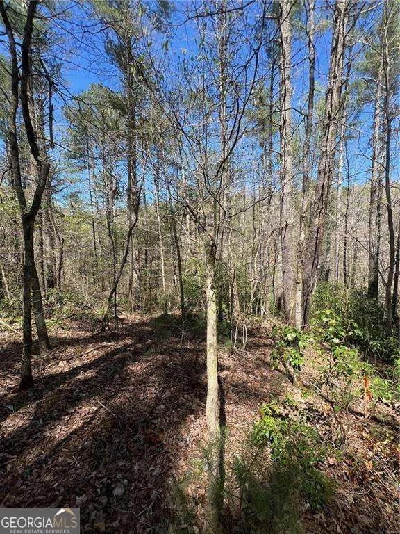 0 Trout Line CT Talking Rock, GA 30175