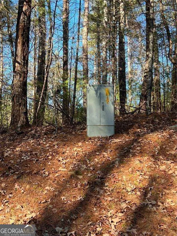 0 Trout Line CT Talking Rock, GA 30175