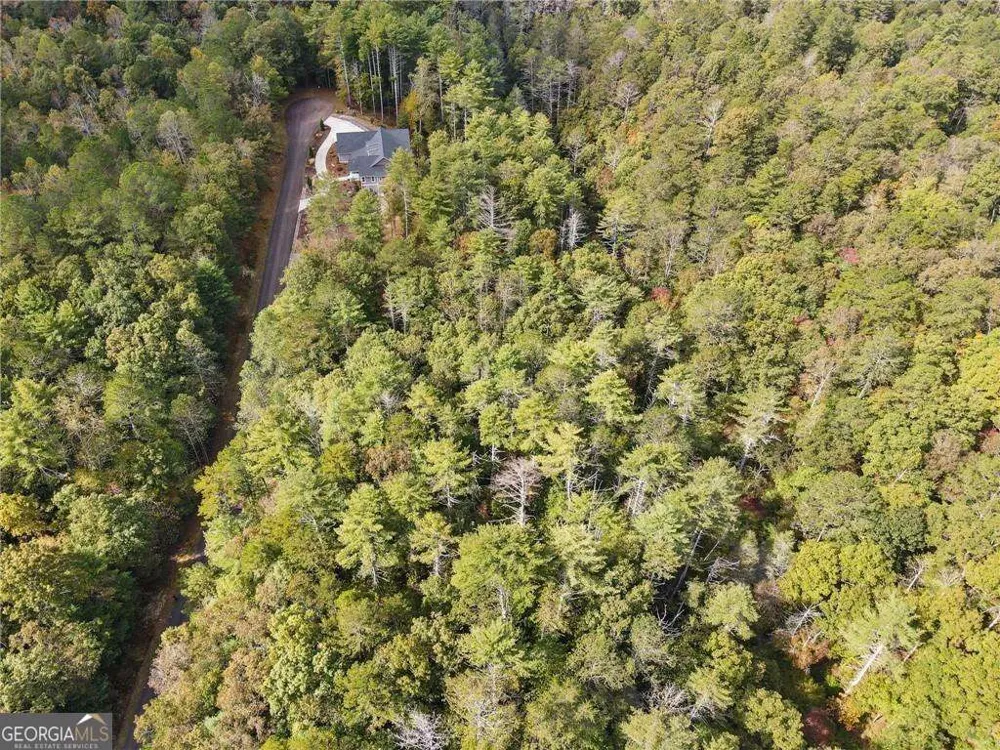 0 Trout Line CT Talking Rock, GA 30175
