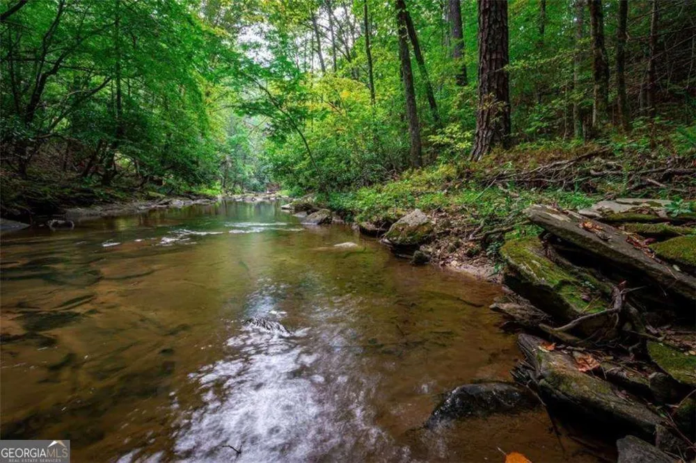 0 Trout Line CT Talking Rock, GA 30175