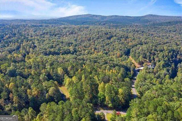 0 Trout Line CT Talking Rock, GA 30175