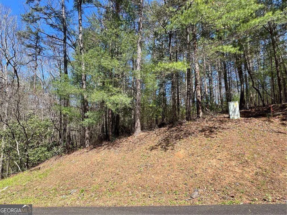 0 Trout Line CT Talking Rock, GA 30175