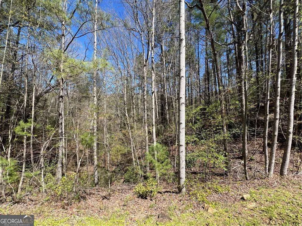 0 Trout Line CT Talking Rock, GA 30175