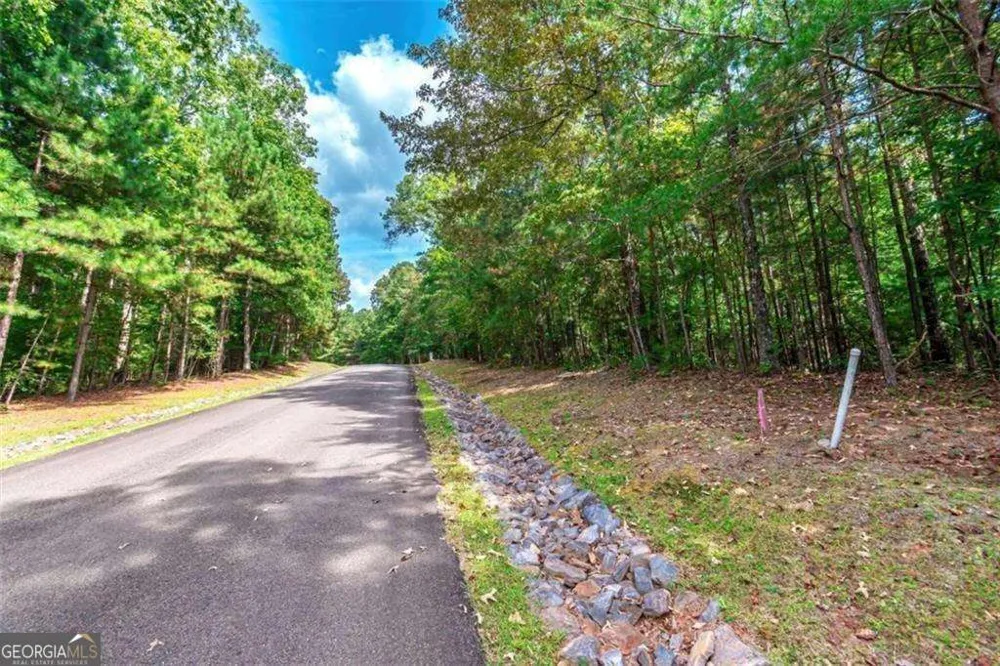 0 Trout Line CT Talking Rock, GA 30175