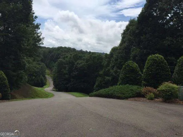 0 Trout Line CT Talking Rock, GA 30175