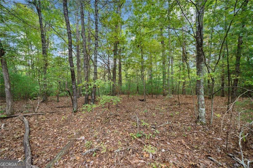 0 Trout Line CT Talking Rock, GA 30175