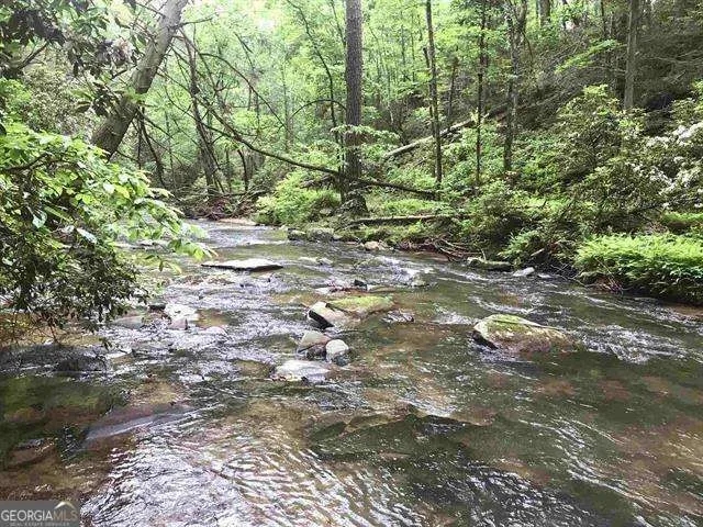 0 Trout Line CT Talking Rock, GA 30175