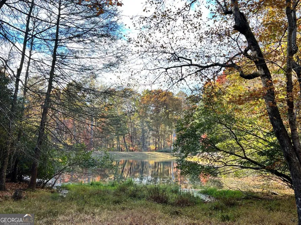 23 Briar Cove LN Morganton, GA 30560