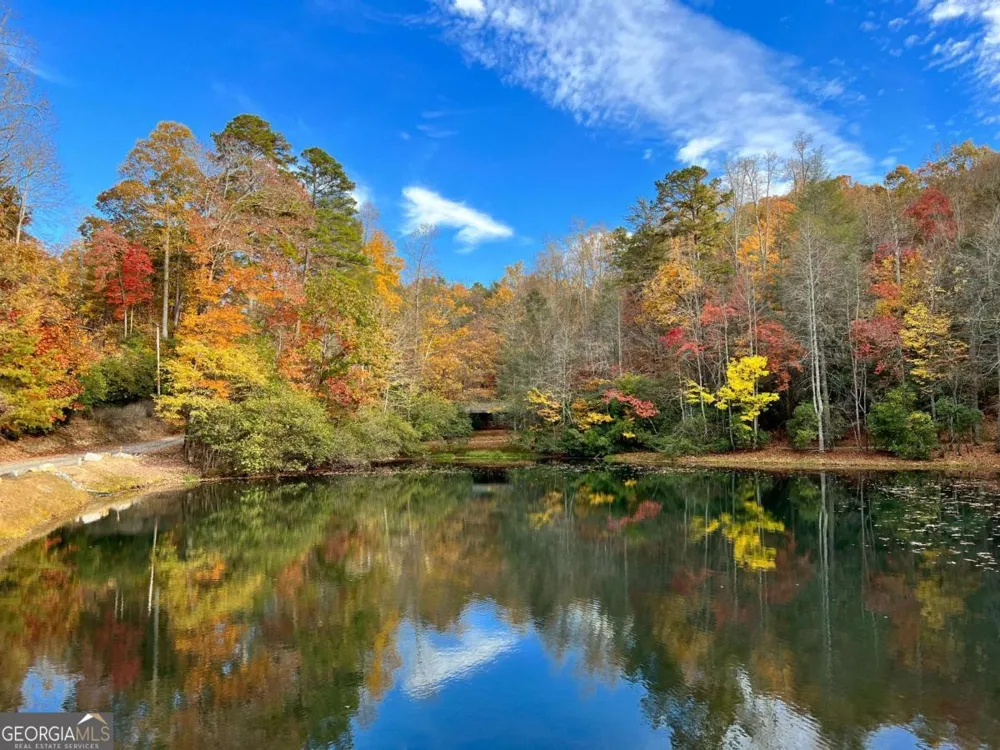 23 Briar Cove LN Morganton, GA 30560