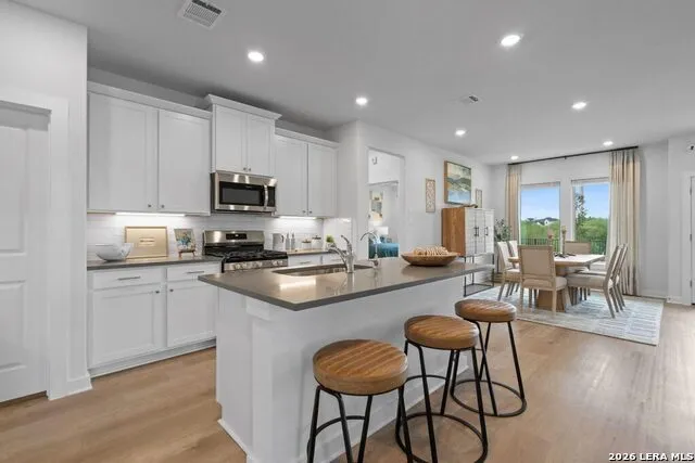 524 Salamander San Marcos, TX 78666