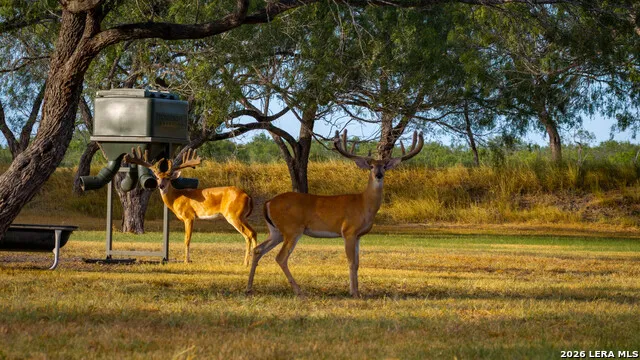 1958 County Road 237 Falls City, TX 78113
