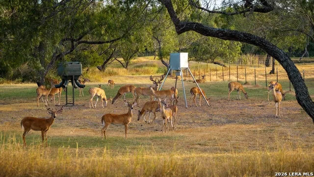 1958 County Road 237 Falls City, TX 78113
