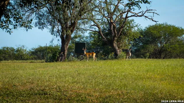 1703 Fm 885 Runge, TX 78151