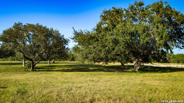 1703 Fm 885 Runge, TX 78151
