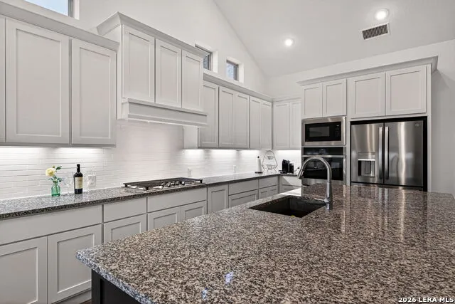 31171 Osage Run Bulverde, TX 78163