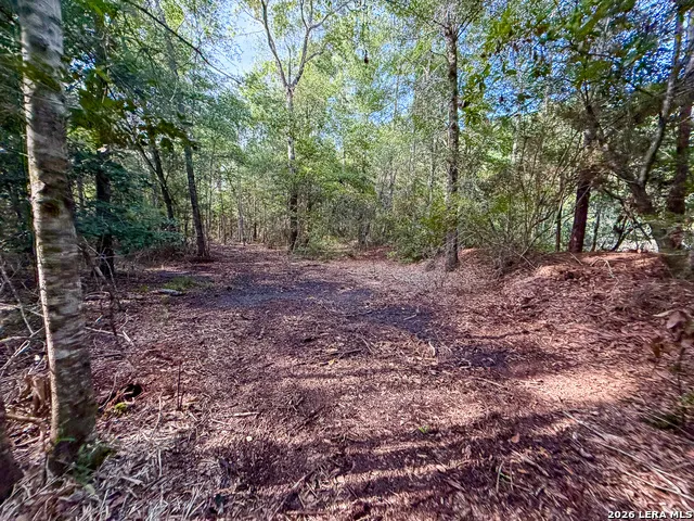 03 FM 787 Saratoga, TX 77585