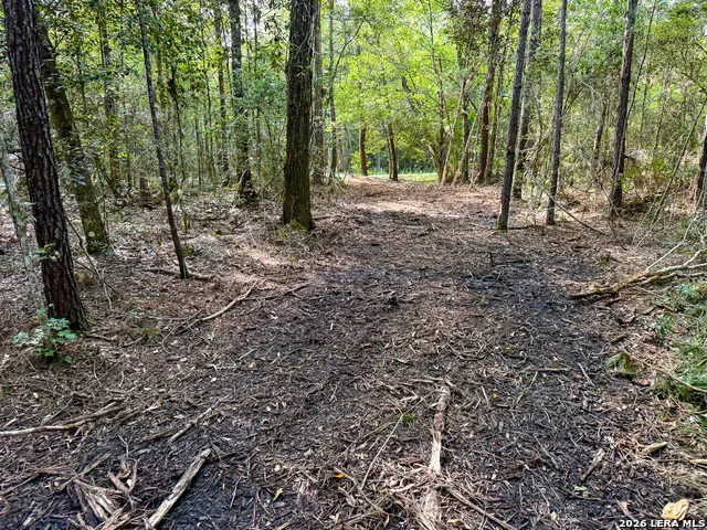 03 FM 787 Saratoga, TX 77585