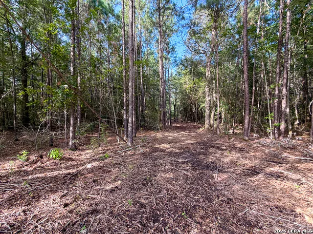 03 FM 787 Saratoga, TX 77585