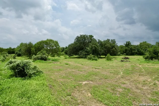 1873 Bronder rd Pleasanton, TX 78064