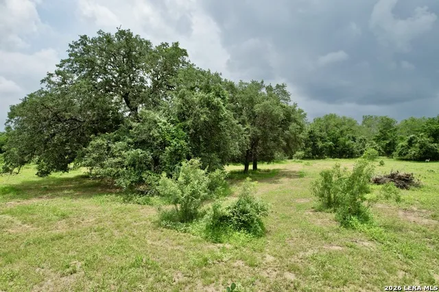 1873 Bronder rd Pleasanton, TX 78064