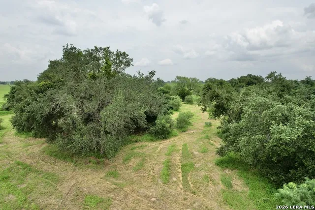 1873 Bronder rd Pleasanton, TX 78064