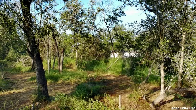 23798 Mathis Rd Lot 12 Elmendorf, TX 78112