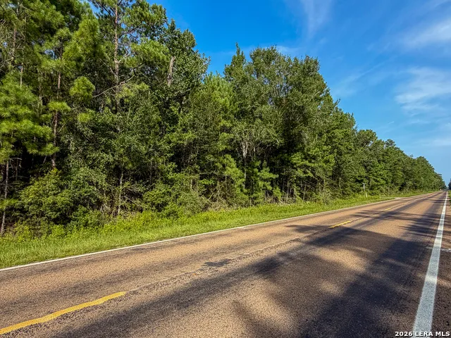 08 FM 787 Saratoga, TX 77585
