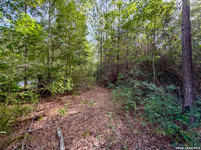 08 FM 787 Saratoga, TX 77585