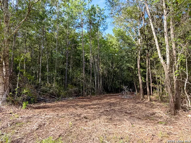 08 FM 787 Saratoga, TX 77585