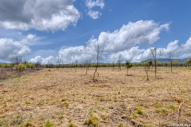 226 Whitetail Way Rio Frio, TX 78879