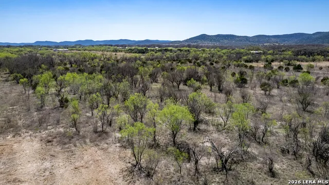 226 Whitetail Way Rio Frio, TX 78879